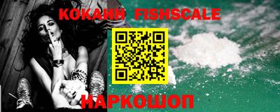 крисы Кулебаки