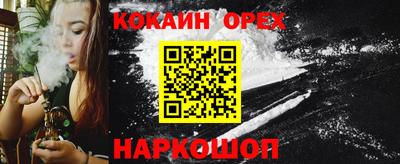 крисы Кулебаки