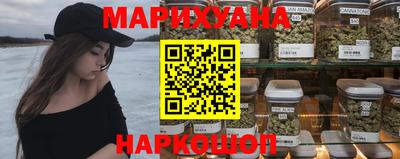 крисы Кулебаки