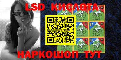 крисы Кулебаки