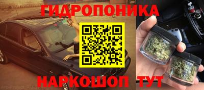крисы Кулебаки