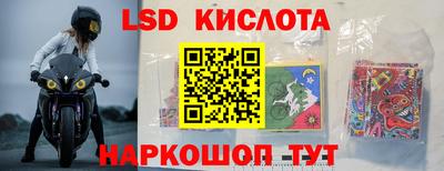 крисы Кулебаки