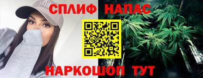 крисы Кулебаки