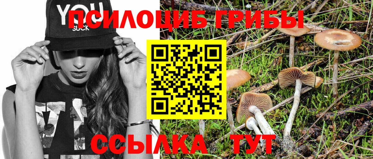 где можно купить   Псилоцибиновые грибы Psilocybine cubensis  Вход с VPN  Гусь-Хрустальный  Галлюциногенные грибы Cubensis 