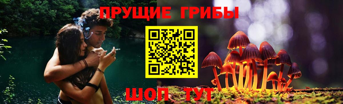 Галлюциногенные грибы Cubensis Гусь-Хрустальный